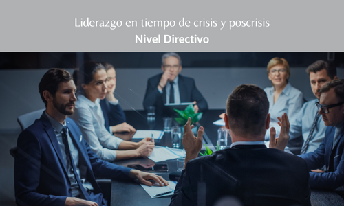 Liderazgo en tiempo de crisis – Nivel directivo